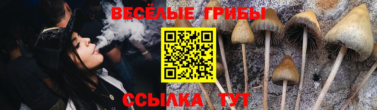 Тюмень  Галлюциногенные грибы MAGIC MUSHROOMS  Вход с VPN 