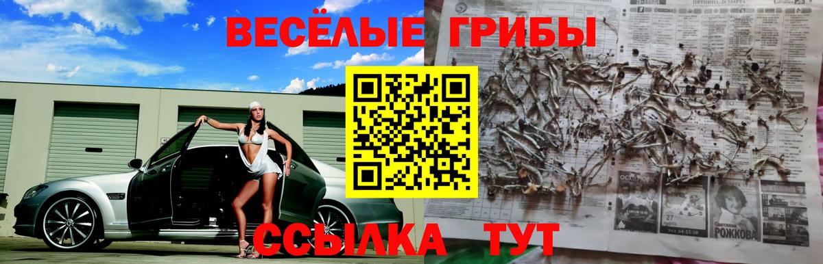 Псилоцибиновые грибы Cubensis Тюмень
